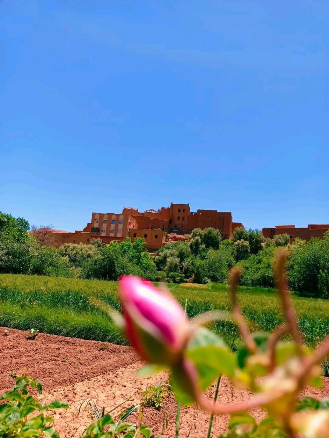Hotel Restaurant Ait Saderat Boumalne Exterior foto